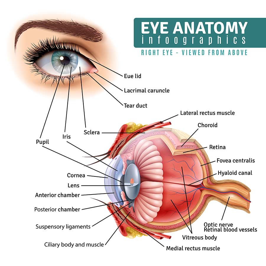 Can-Glaucoma-spread-to-the-other-eye