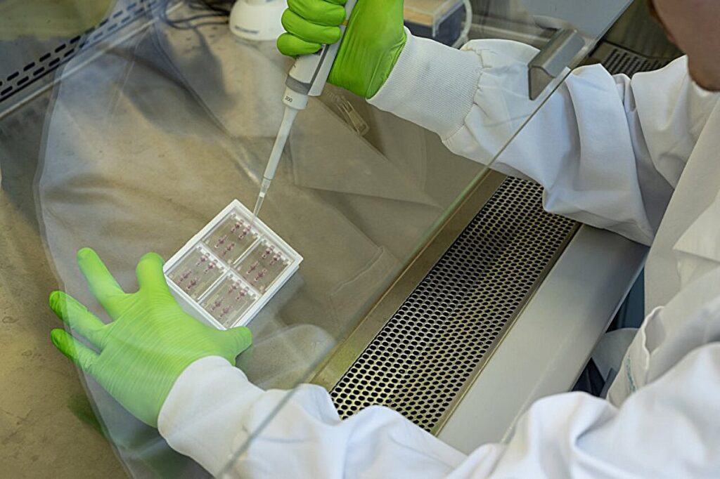 Lab-Grown Retina Reveals Gene Change in Rare Eye Condition