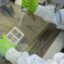 Lab-Grown Retina Reveals Gene Change in Rare Eye Condition