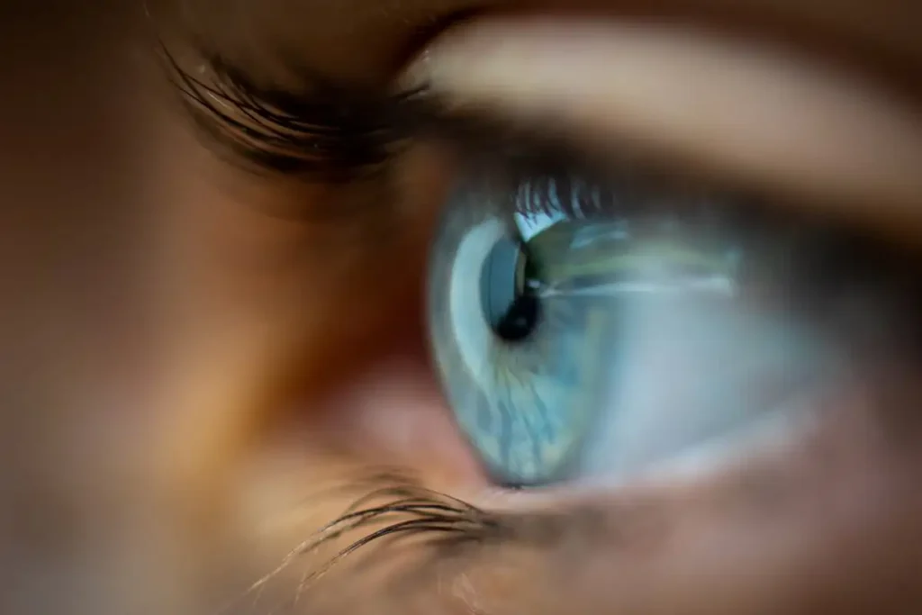 Marine Animal Virus Linked to Strange Eye Issues