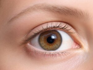 Outlook Therapeutics Eye Disease FDA Approval