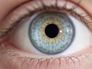 Outlook Therapeutics Eye Disease FDA Approval